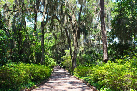 Garden pathway